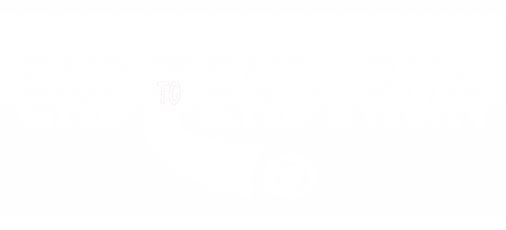 virtual challenge end to end logo